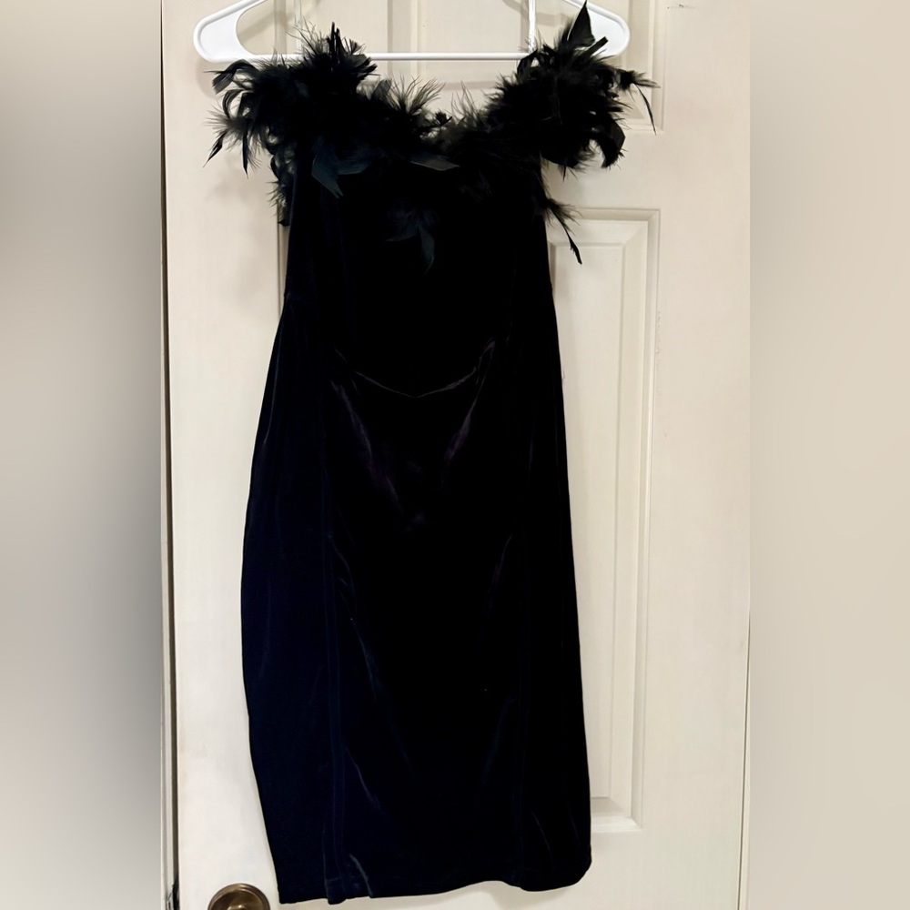 Elegant Black Feathered Dress